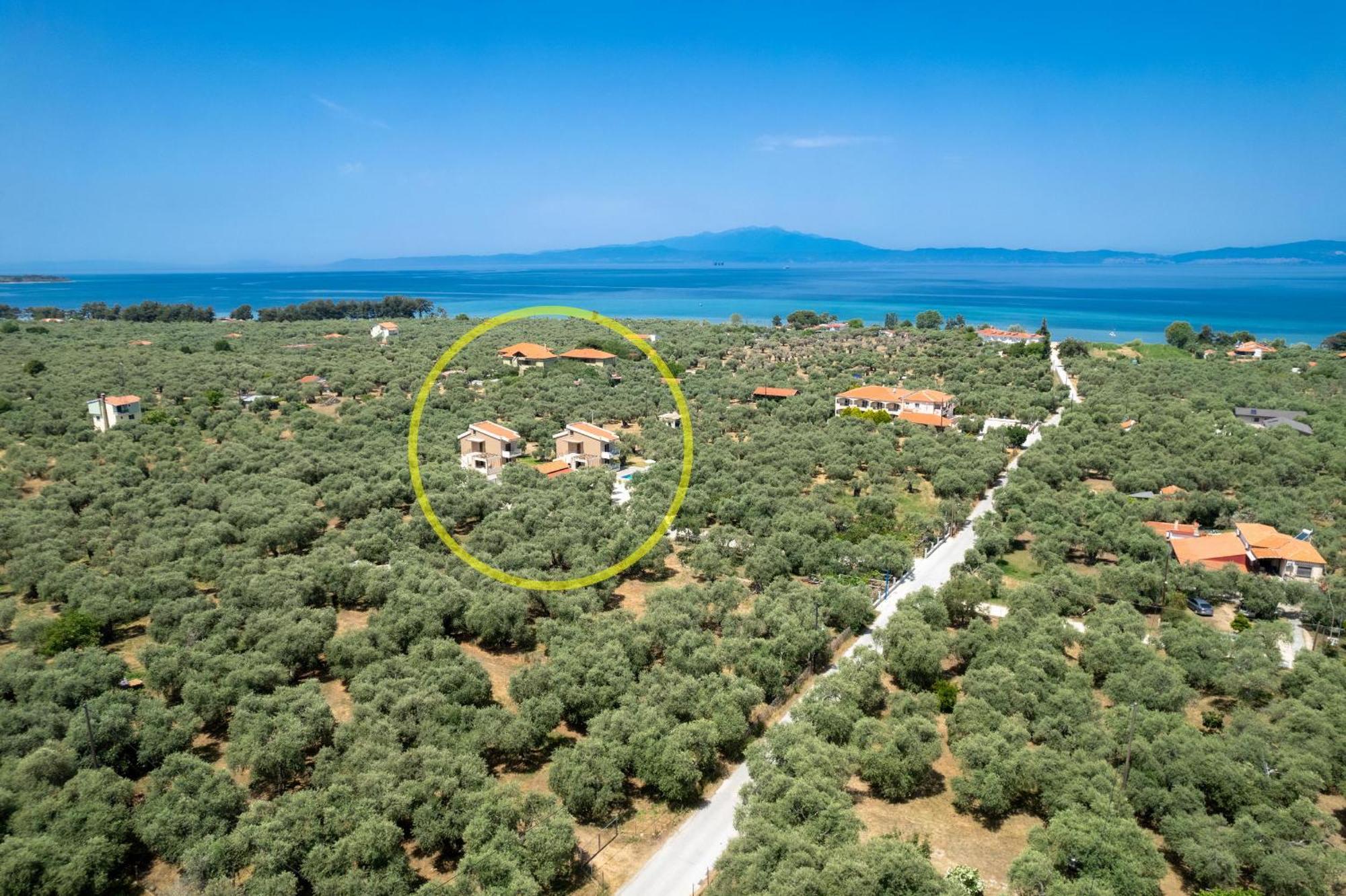 Olea Luxury Apartment Skala Rachoni (Thasos)