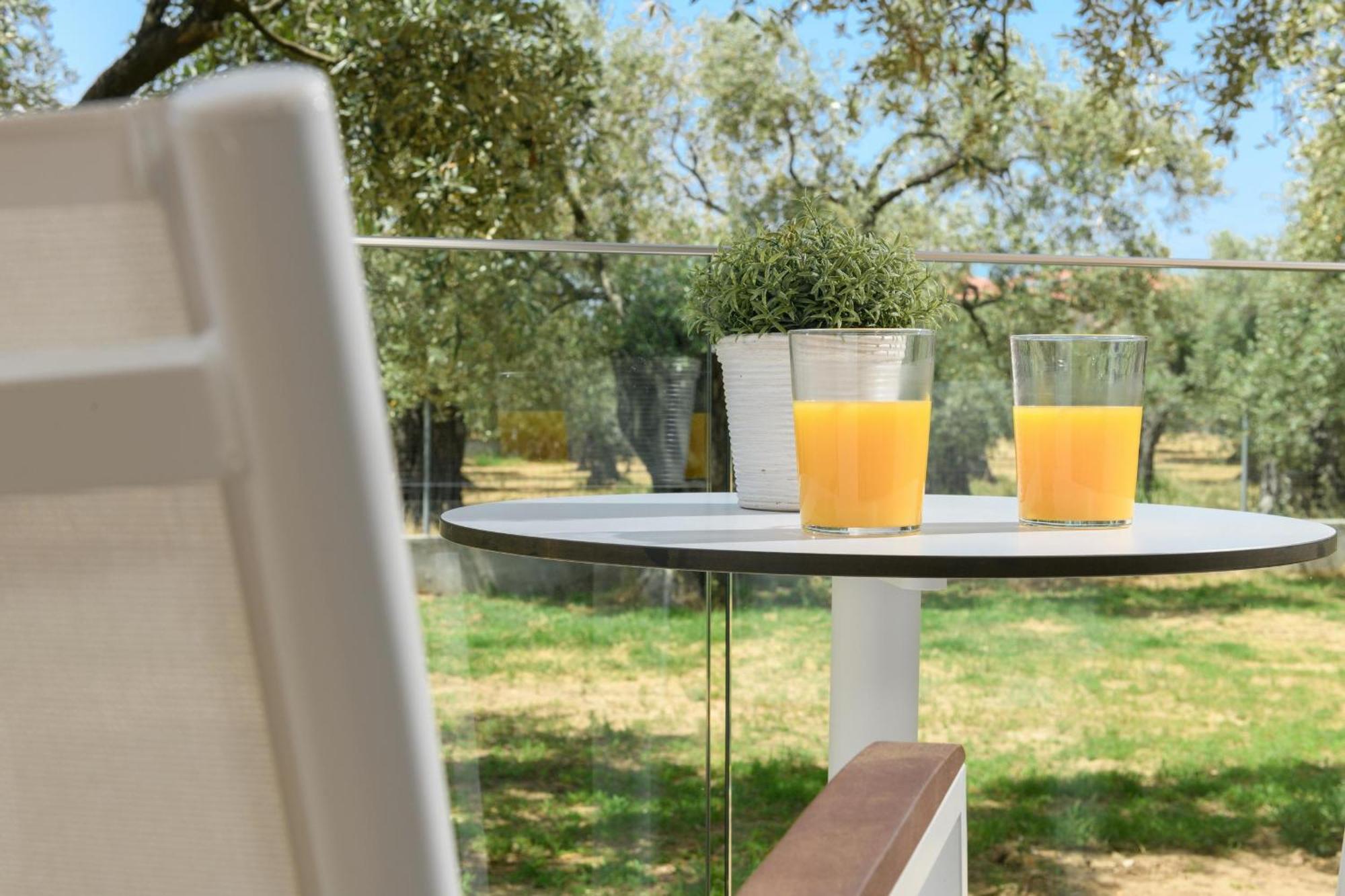 Olea Luxury Apartment Skala Rachoni (Thasos)